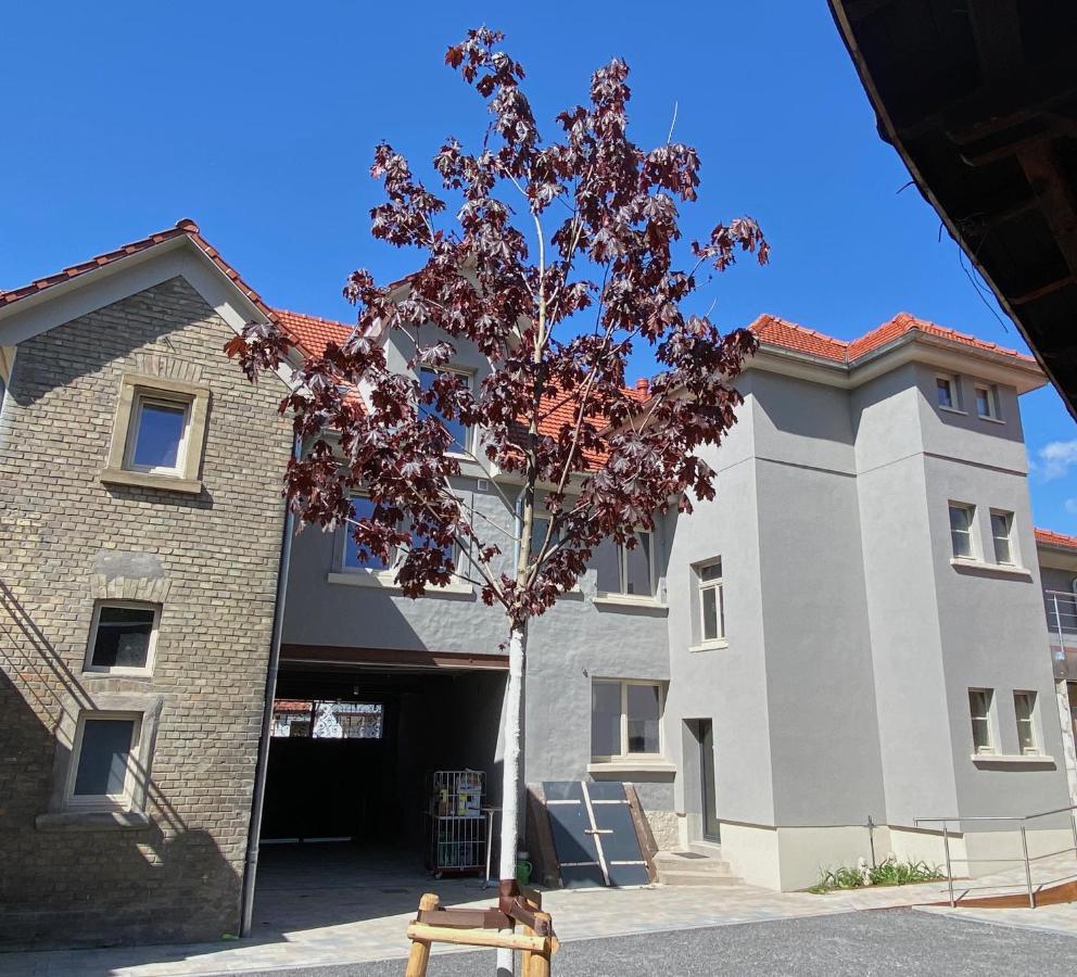 Buergerhausloewen Hotell Philippsburg Exteriör bild